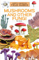 Image for "Mushrooms and Other Fungi"