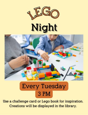 Lego Night
