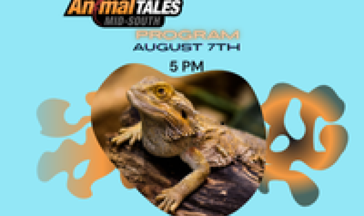 Animal Tales